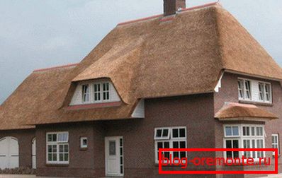 Reed roof