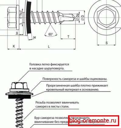 The structure of the roofing screw