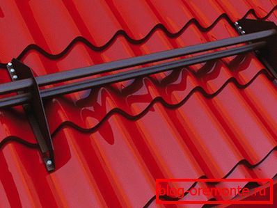 Single pivot roof snow holders