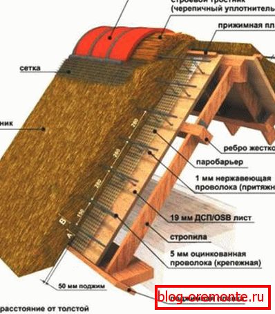 Reed roof device layout