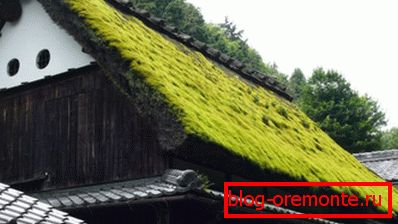 Traditional Norwegian Sod Roofs