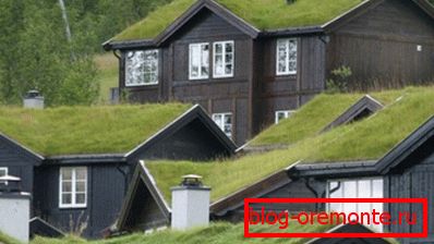 Houses with vegetable roofs in the Alps