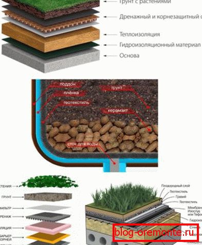 Scheme of the roofing pie of vegetable roofs of different types