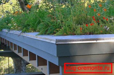 Intense green roof