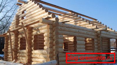 Log cabin with male gables