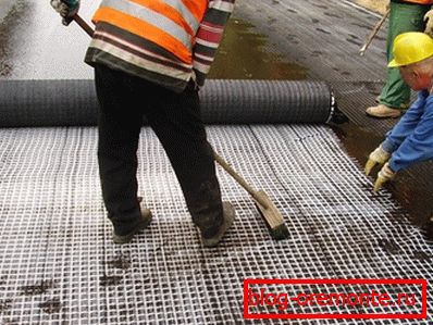 Reinforcement of the road polymer mesh. Reinforcement of the road polymer mesh.