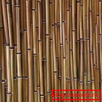 Bamboo for curtains