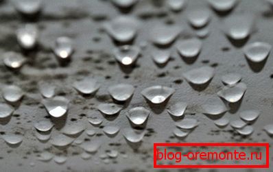 Humidity is a favorable environment. Humidity is a favorable environment.