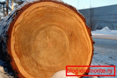 Pine Wood Pine Wood