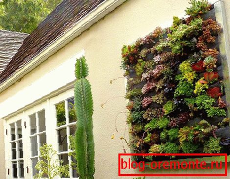 Partial Vertical Gardening