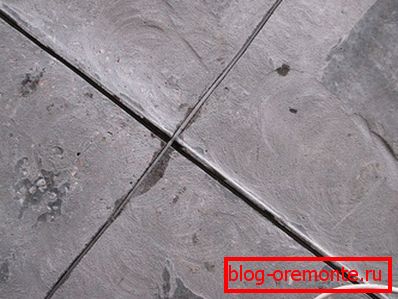Expansion joint