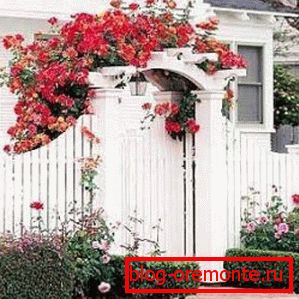 decorative gates