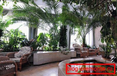 Available version of the winter garden