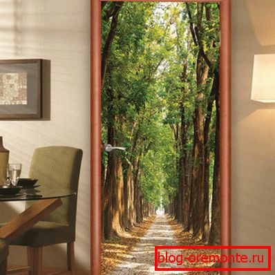 Door wallpapers in the design of the aperture Door wallpapers in the design of the aperture