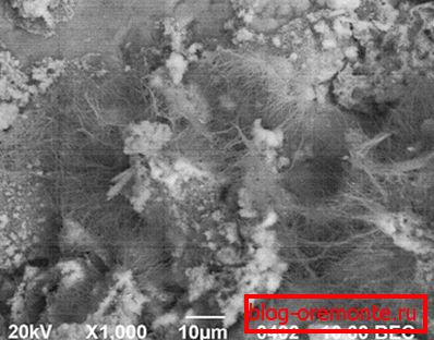 Chemical process of gas formation under magnification Chemical process of gas formation under magnification