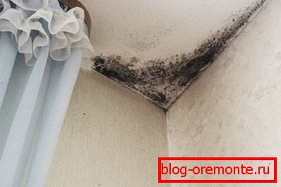 Getting rid of the fungus