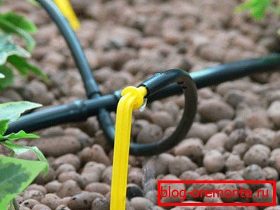 Drip irrigation