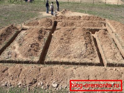 Pit trenches Pit trenches