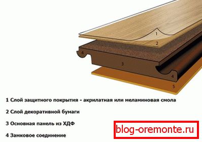 Lamella in section