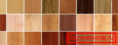 Color range of laminate metal doors with laminate trim