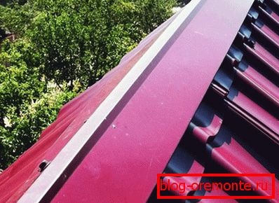 Metal ridge roof