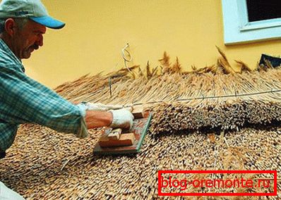Installation крыши из камыша