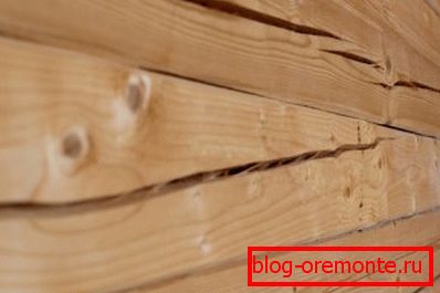 Deep cracks are clearly seen on the photo - the result of tree drying Deep cracks are clearly seen on the photo - the result of tree drying