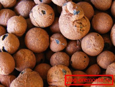 The photo shows claydite