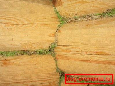 Moss crevice processing Moss crevice processing