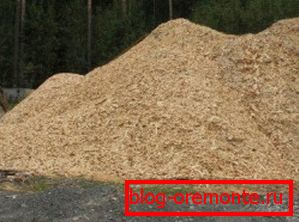 Sawdust conifer trees - one of the main components Sawdust conifer trees - one of the main components