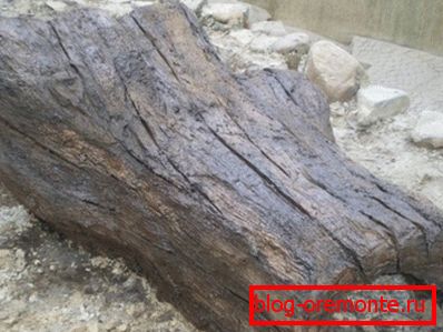 If desired, you can recreate even the structure of the tree (as in the photo), since art concrete gives you complete creative freedom If desired, you can recreate even the structure of the tree (as in the photo), since art concrete gives you complete creative freedom
