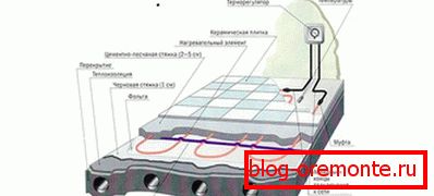 Principle of device and work
