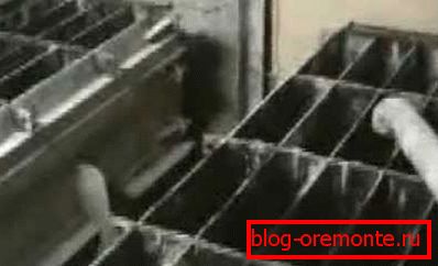 Mold casting process Mold casting process
