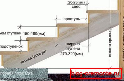 Dimensions of the ladder. Dimensions of the ladder.