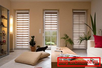 Adjustable wooden shutters on doorways Adjustable wooden shutters on doorways
