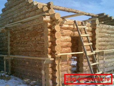 Chopped log Chopped log