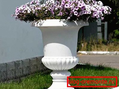 Garden pot of concrete Garden pot of concrete