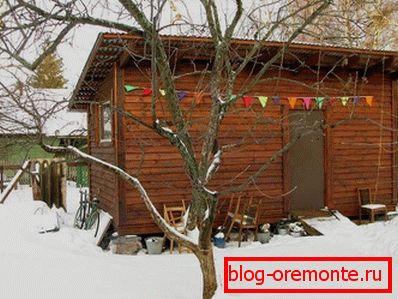 Shed roof