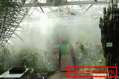 Irrigation system в зимнем саду