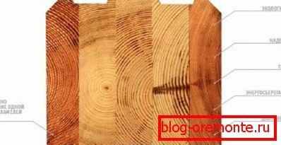Cut of a bar with front surfaces from a cedar Cut of a bar with front surfaces from a cedar