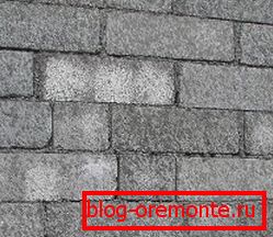 Walls of such material are built easily and quickly. Walls of such material are built easily and quickly.