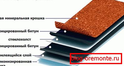 The structure of shingles