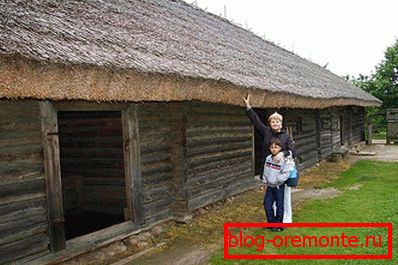 Reed roof properties