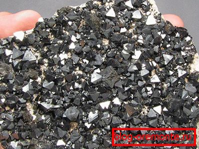 It looks like a magnetic iron (magnetite). It looks like a magnetic iron (magnetite).