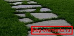 Grass crossing the cement path enhances harmony with the interior of the garden Grass crossing the cement path enhances harmony with the interior of the garden