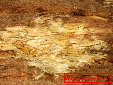 Removing a site infected with fungus Removing a site infected with fungus