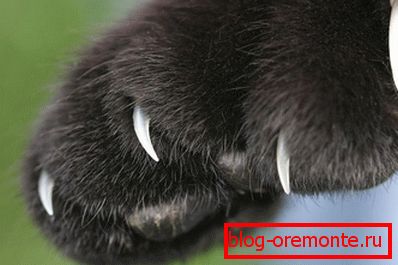 Resistance to the claws of animals