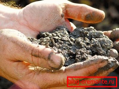 It is important not only the quality of the components, but also their ratio. It is important not only the quality of the components, but also their ratio.