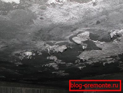 Vysola on the ceiling of the cellar. Vysola on the ceiling of the cellar.