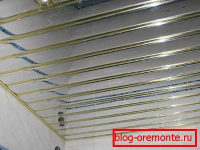 Rack ceiling